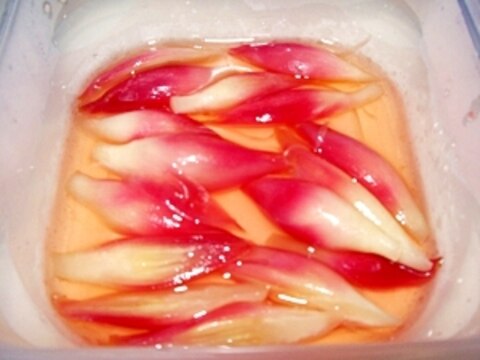 桜色した、みょうがの甘酢漬け